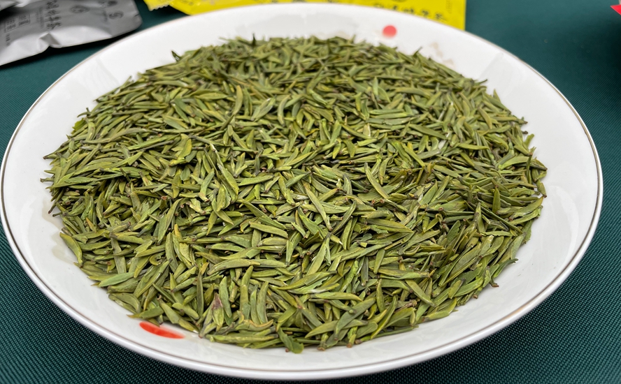 纳溪特早茶：品牌荣耀与新星璀璨，共绘茶产业高质量发展蓝图